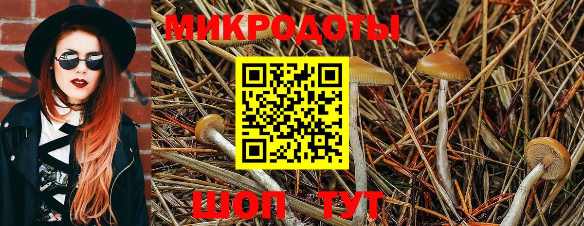 Славянск-на-Кубани  Галлюциногенные грибы Psilocybine cubensis  Вход с VPN 